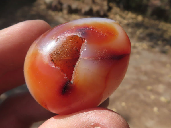 Polished Vibrant Red Carnelian Agate Eggs  x 20 From Madagascar - TopRock