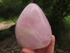 Polished Gemmy Pink Rose Quartz Standing Free Forms  x 4 From Ambatondrazaka, Madagascar - TopRock