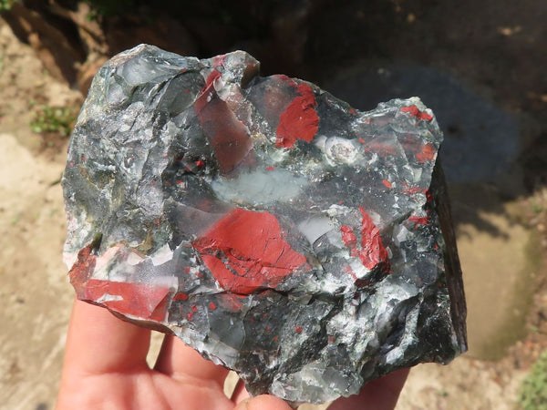 Natural Rough Bloodstone Cobbed Specimens With Pyrite (Seftonite) x 12 From Swaziland - TopRock