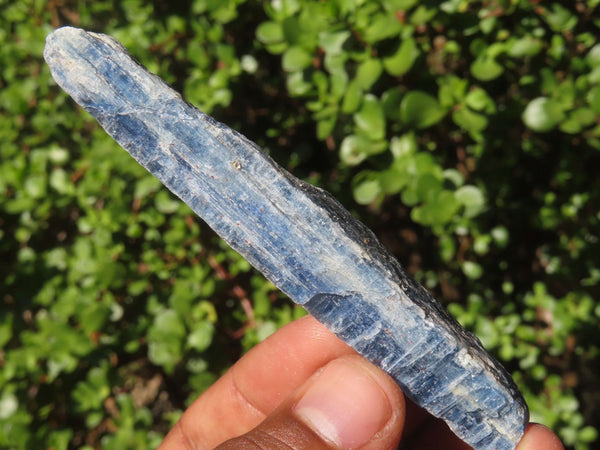 Natural Single Blue Kyanite Crystals  x 35 From Karoi, Zimbabwe