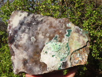 Natural Salrose Cobaltion Dolomite Specimen x 1 From Kakanda, Congo - Toprock Gemstones and Minerals 