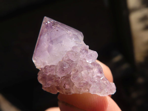 Natural Mini Mixed Spirit Amethyst Quartz Crystals  x 70 From Boekenhouthoek, South Africa - Toprock Gemstones and Minerals 