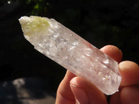 Natural Single Clear Quartz Crystals  x 39 From Mpika, Zambia - Toprock Gemstones and Minerals 