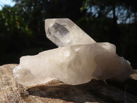 Natural Single Clear Quartz Crystals  x 39 From Mpika, Zambia - Toprock Gemstones and Minerals 
