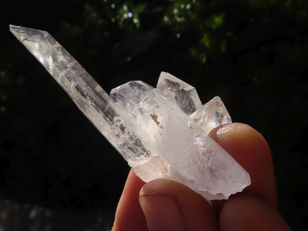 Natural Single Clear Quartz Crystals  x 39 From Mpika, Zambia - Toprock Gemstones and Minerals 