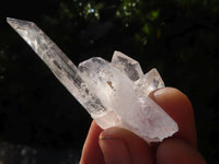 Natural Single Clear Quartz Crystals  x 39 From Mpika, Zambia - Toprock Gemstones and Minerals 