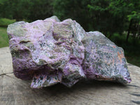 Natural Nice Large Cobbed Selected Stichtite Colourful Solid Piece x 1 From Barberton, South Africa - TopRock