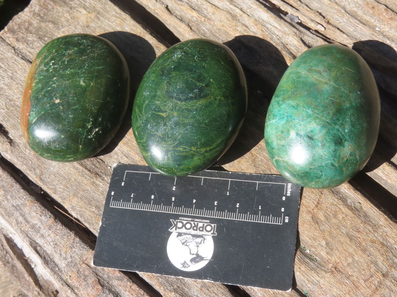 Polished Green Verdite Palm Stones  x 12 From Mazoe, Zimbabwe - Toprock Gemstones and Minerals 