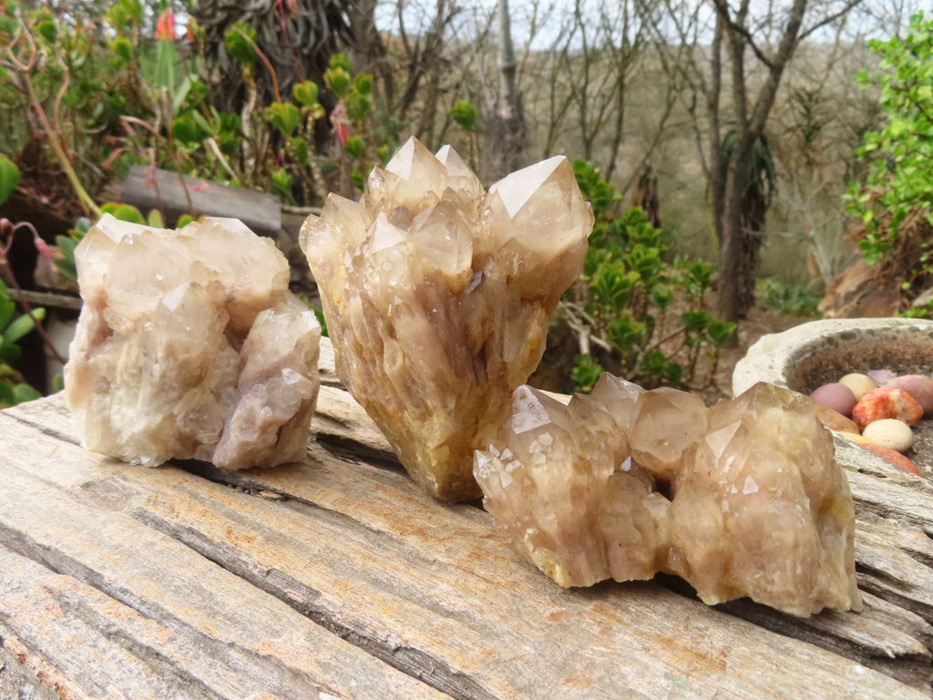 Natural Cascading Smokey Quartz Clusters x 3 From Luena, Congo - Toprock Gemstones and Minerals 