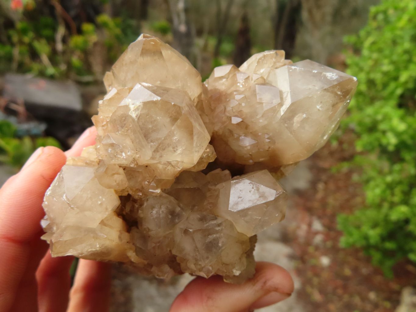 Natural Cascading Smokey Quartz Clusters x 3 From Luena, Congo - Toprock Gemstones and Minerals 