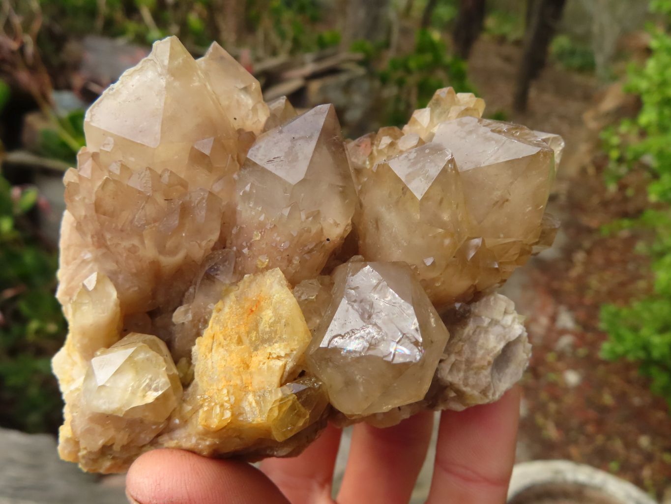 Natural Cascading Smokey Quartz Clusters x 3 From Luena, Congo - Toprock Gemstones and Minerals 