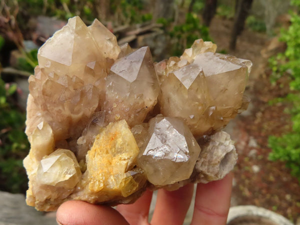 Natural Cascading Smokey Quartz Clusters x 3 From Luena, Congo - Toprock Gemstones and Minerals 