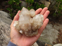 Natural Cascading Smokey Quartz Clusters x 3 From Luena, Congo - Toprock Gemstones and Minerals 