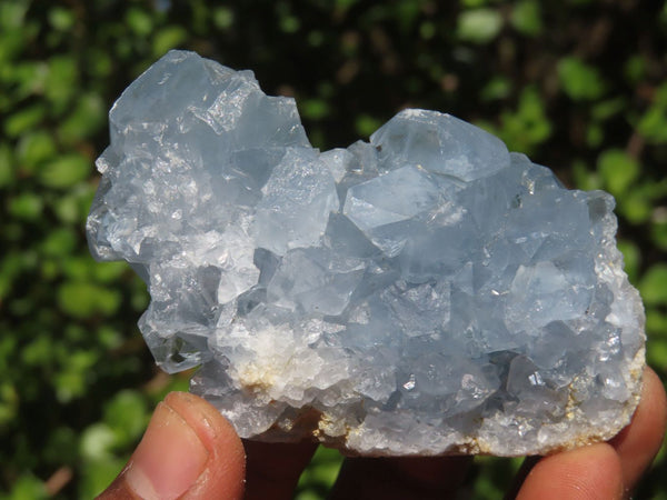 Natural Blue Celestite Crystal Specimens  x 5 From Sakoany, Madagascar - Toprock Gemstones and Minerals 