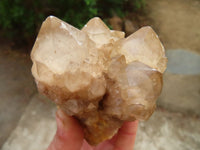 Natural Cascading Smokey Quartz Clusters x 3 From Luena, Congo - Toprock Gemstones and Minerals 