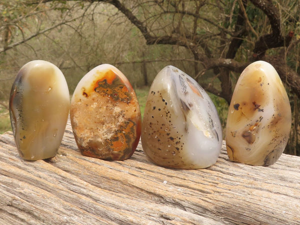 Polished Dendritic Agate Standing Free Forms  x 4 From Moralambo, Madagascar - TopRock