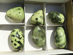 Polished Spotted Leopard Stone Free Forms  x 6 From Zimbabwe - Toprock Gemstones and Minerals 