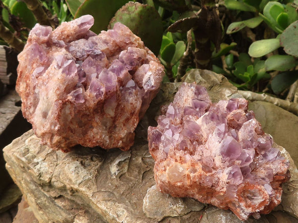 Natural Sugar Amethyst Clusters  x 2 From Solwezi, Zambia - TopRock