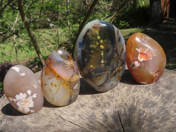 Polished Stunning Selection Of Dendritic & Coral Flower Agate Standing Free Forms  x 4 From Madagascar - TopRock