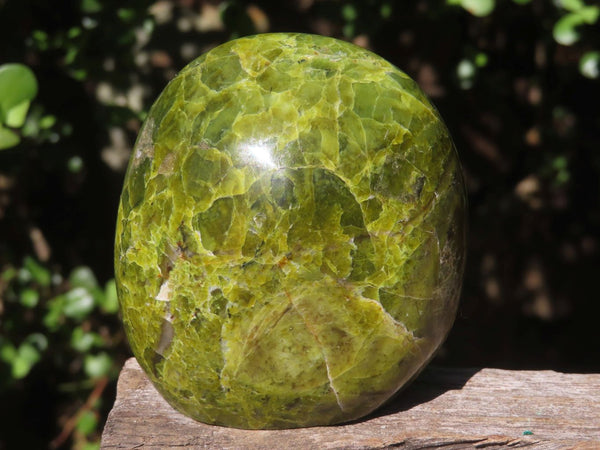 Polished Green Opal Standing Free Forms  x 3 From Antsirabe, Madagascar - Toprock Gemstones and Minerals 