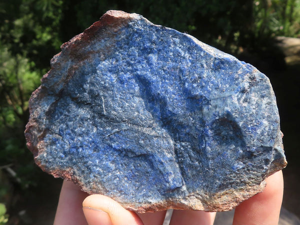Natural Rare Blue Dumortierite Rough Specimens  x 5 From Mozambique - TopRock