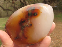 Polished Dendritic Agate Standing Free Forms  x 4 From Moralambo, Madagascar - TopRock