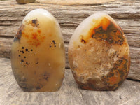 Polished Dendritic Agate Standing Free Forms  x 4 From Moralambo, Madagascar - TopRock