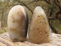 Polished Dendritic Agate Standing Free Forms  x 4 From Moralambo, Madagascar - TopRock