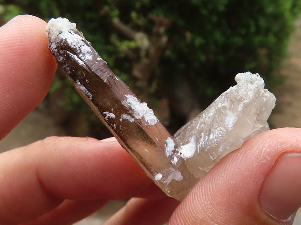 Natural Single Smokey Quartz Crystals  x 57 From Erongo, Namibia - TopRock