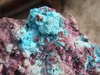 Natural Pink Salrose Cobaltion Dolomite Specimens  x 6 From Kakanda, Congo - Toprock Gemstones and Minerals 
