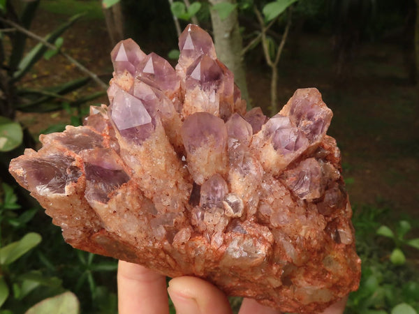 Natural Sugar Amethyst Clusters  x 3 From Solwezi, Zambia - TopRock