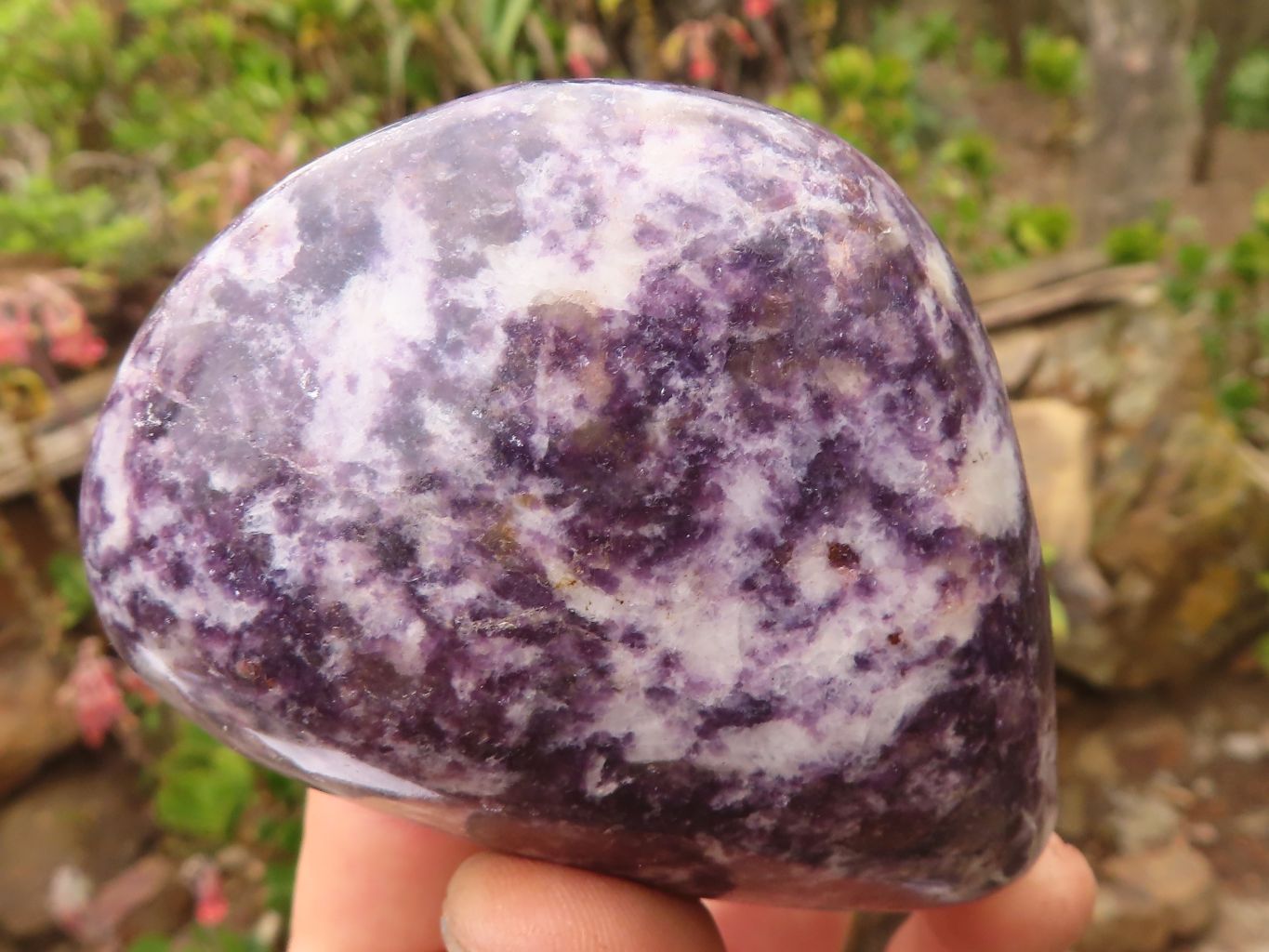 Polished  Purple Lepidolite Free Forms  x 4 From Zimbabwe - Toprock Gemstones and Minerals 