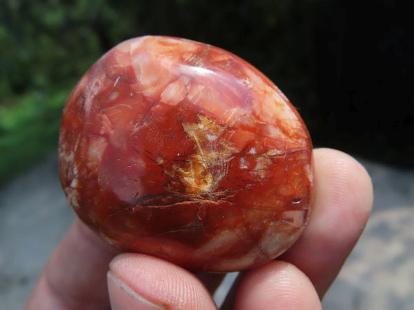 Polished Carnelian Gallets x 35 From Madagascar - TopRock