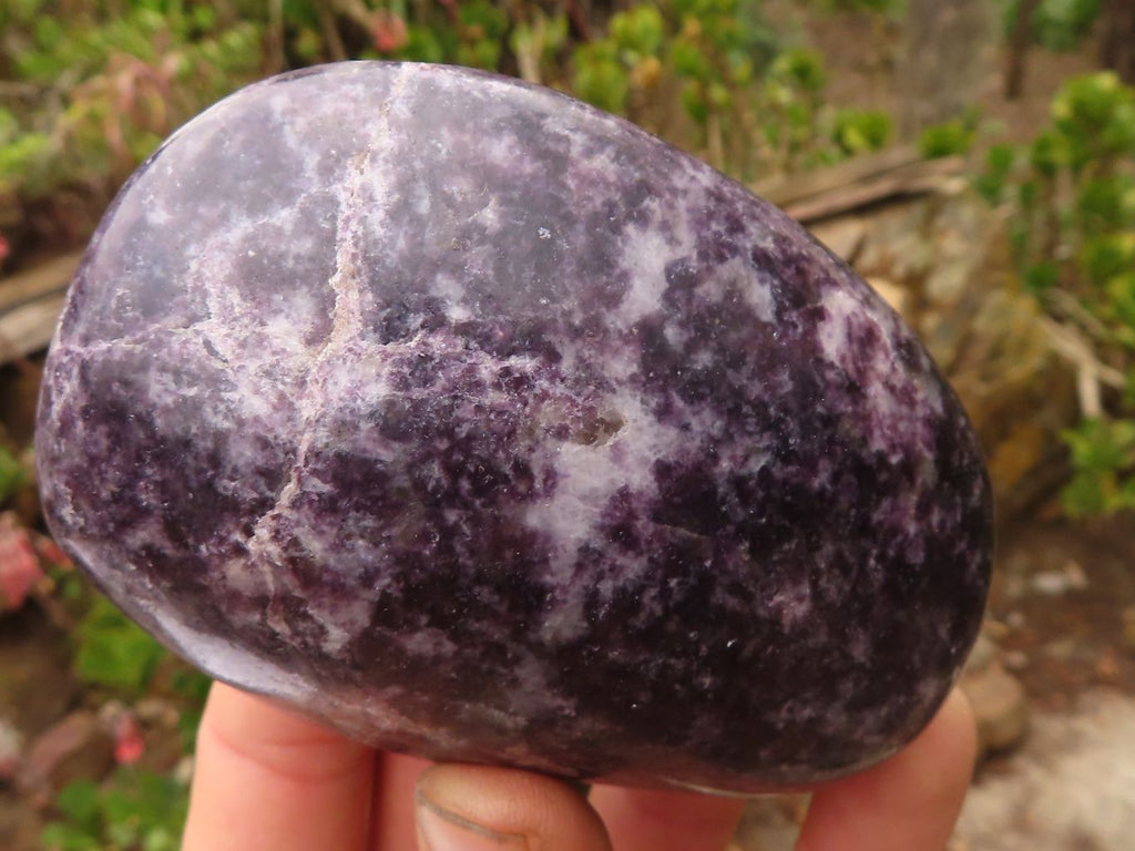 Polished  Purple Lepidolite Free Forms  x 4 From Zimbabwe - Toprock Gemstones and Minerals 