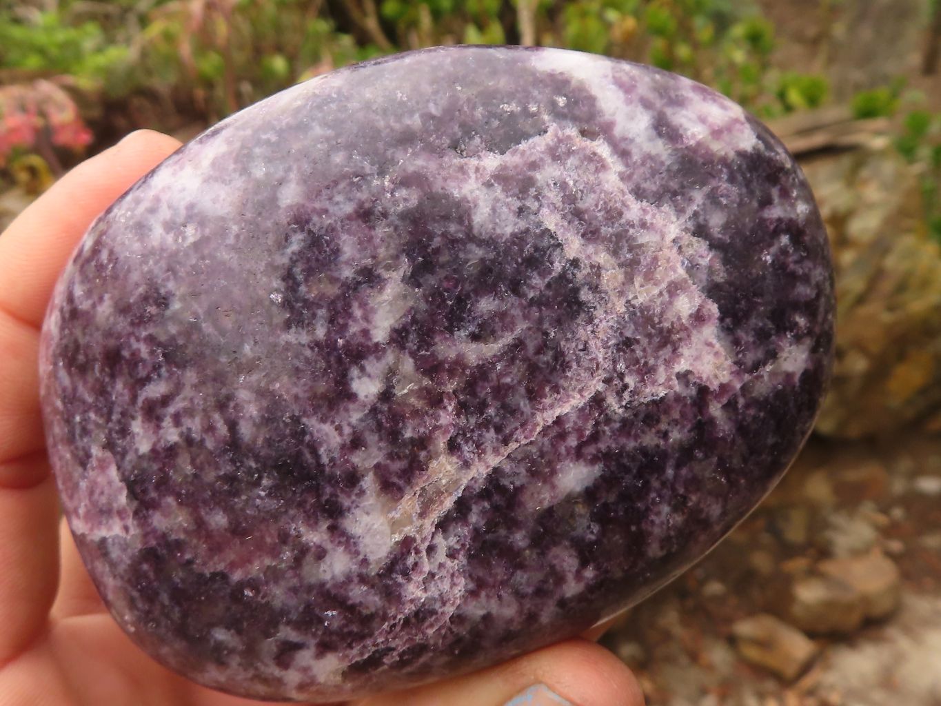 Polished  Purple Lepidolite Free Forms  x 4 From Zimbabwe - Toprock Gemstones and Minerals 