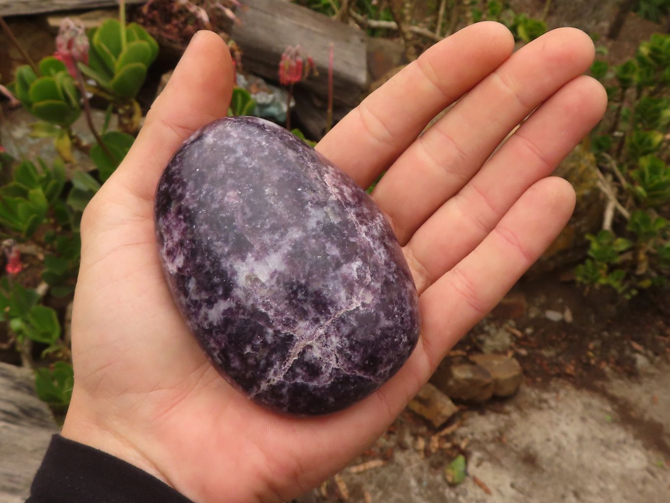 Polished  Purple Lepidolite Free Forms  x 4 From Zimbabwe - Toprock Gemstones and Minerals 