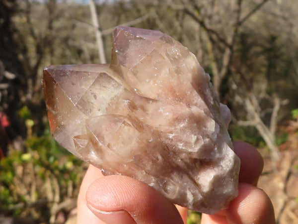 Natural Small Cascading Smokey Phantom Quartz Clusters x 12 From Luena, Congo - Toprock Gemstones and Minerals 