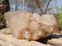 Natural Small Cascading Smokey Phantom Quartz Clusters x 12 From Luena, Congo - Toprock Gemstones and Minerals 