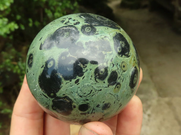 Polished Stromatolite / Kambamba Jasper Spheres  x 6 From Madagascar - TopRock