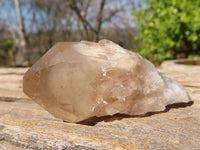 Natural Small Cascading Smokey Phantom Quartz Clusters x 12 From Luena, Congo - Toprock Gemstones and Minerals 
