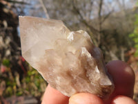 Natural Small Cascading Smokey Phantom Quartz Clusters x 12 From Luena, Congo - Toprock Gemstones and Minerals 