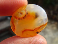 Polished Mini Ocean  Flower Agate Palm Stones  x 70 From Madagascar - Toprock Gemstones and Minerals 