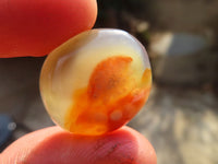 Polished Mini Ocean  Flower Agate Palm Stones  x 70 From Madagascar - Toprock Gemstones and Minerals 