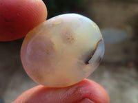 Polished Mini Ocean  Flower Agate Palm Stones  x 70 From Madagascar - Toprock Gemstones and Minerals 