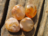 Polished Mini Ocean  Flower Agate Palm Stones  x 70 From Madagascar - Toprock Gemstones and Minerals 