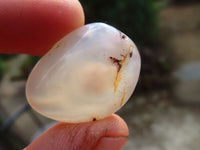 Polished Mini Ocean  Flower Agate Palm Stones  x 70 From Madagascar - Toprock Gemstones and Minerals 