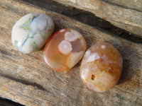 Polished Mini Ocean  Flower Agate Palm Stones  x 70 From Madagascar - Toprock Gemstones and Minerals 