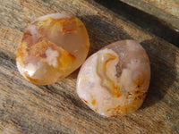 Polished Mini Ocean  Flower Agate Palm Stones  x 70 From Madagascar - Toprock Gemstones and Minerals 