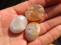 Polished Mini Ocean  Flower Agate Palm Stones  x 70 From Madagascar - Toprock Gemstones and Minerals 