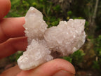 Natural Small Spirit Quartz Clusters  x 35 From Boekenhouthoek, South Africa - Toprock Gemstones and Minerals 